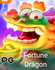 Fortune Dragon